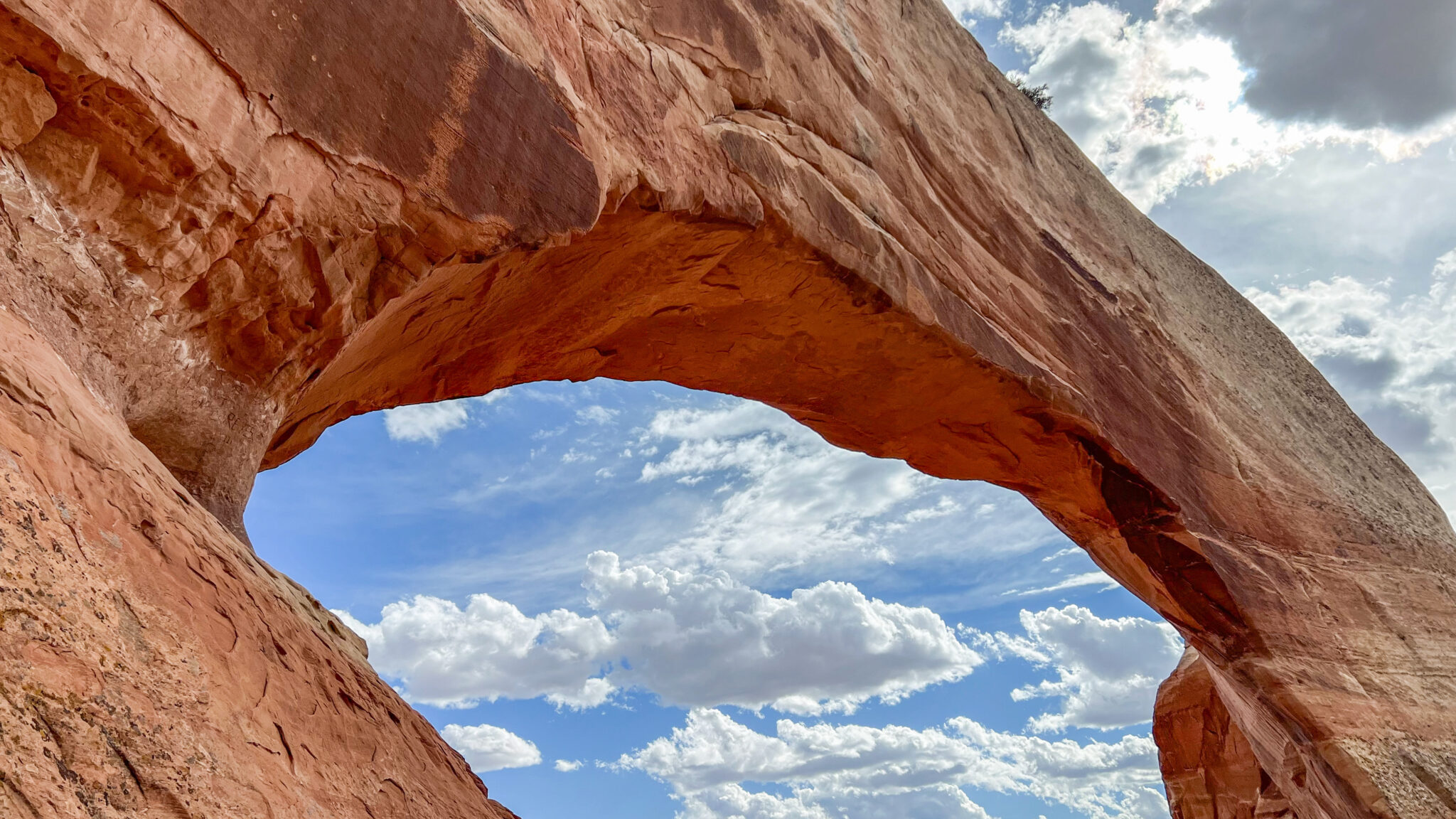 Wilson Arch Close Up