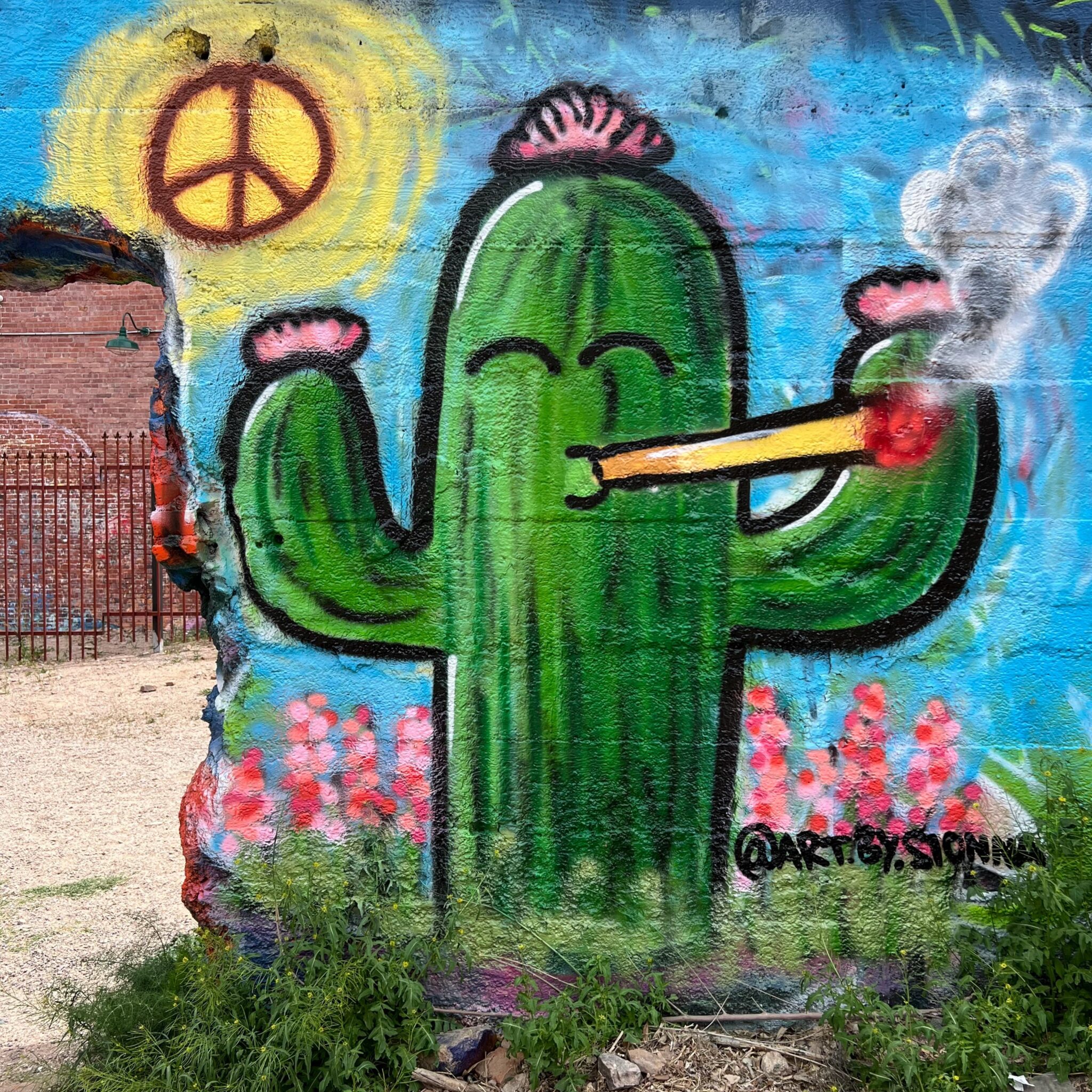 Peace Cactus