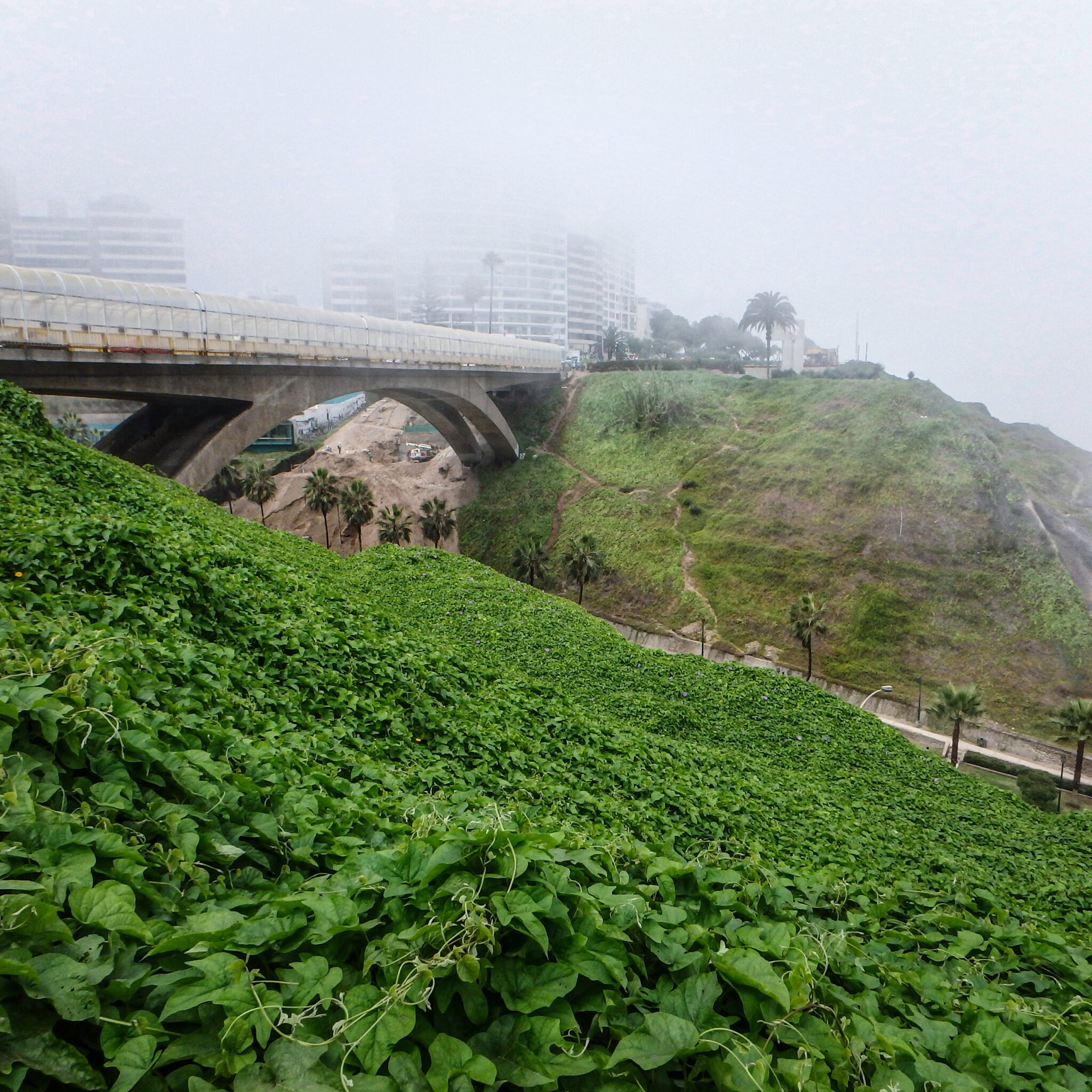 Lima Peru Pacific Coast Fog