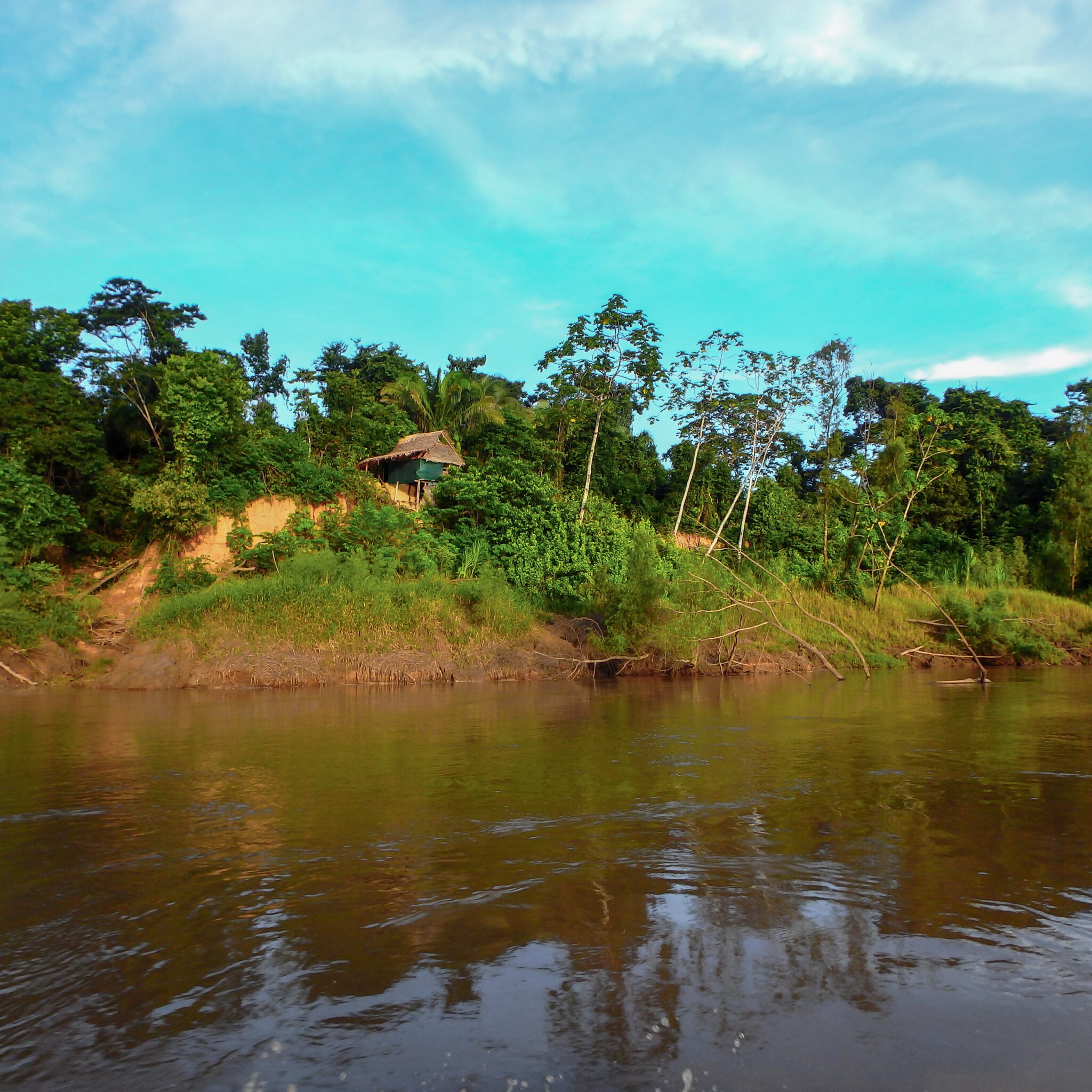 Amazon River Thatch Hut