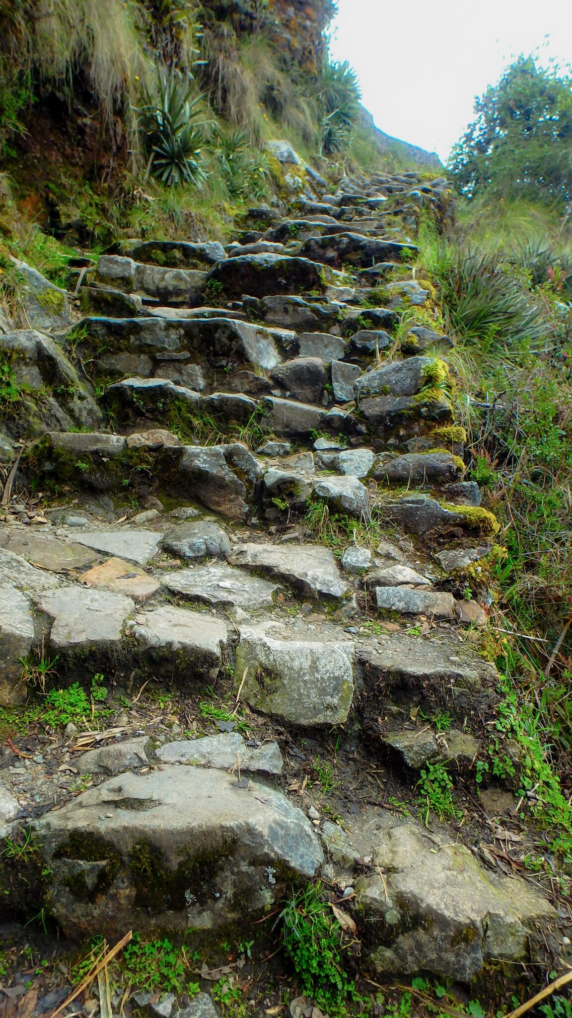 What the Inca Trail Looks Like