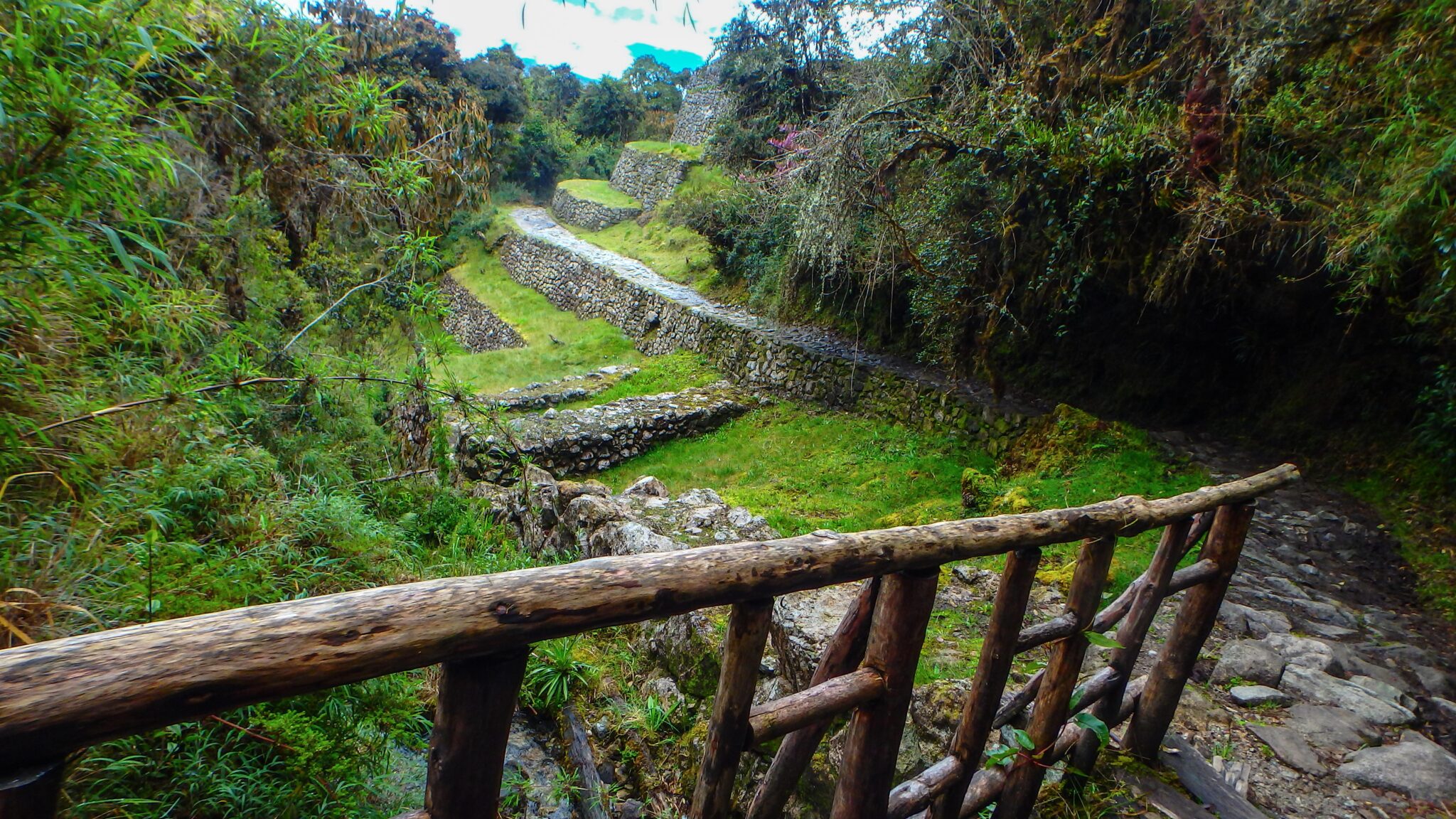 A Favorite Green View Along the Way